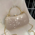 Luxury Crystal Embellished Mini Clutch